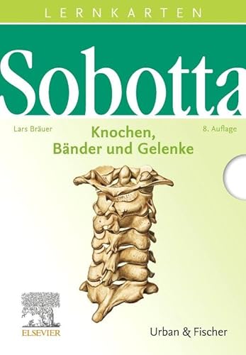 Sobotta Lernkarten Knochen, Bänder und Gelenke: Knochen, Bänder, Gelenke von Elsevier